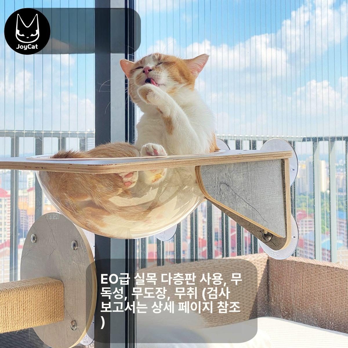 창문 캣타워 부착형 선반 베란다 반려묘 캣워크 흡착형 소형 점프대 - 상세 이미지 2