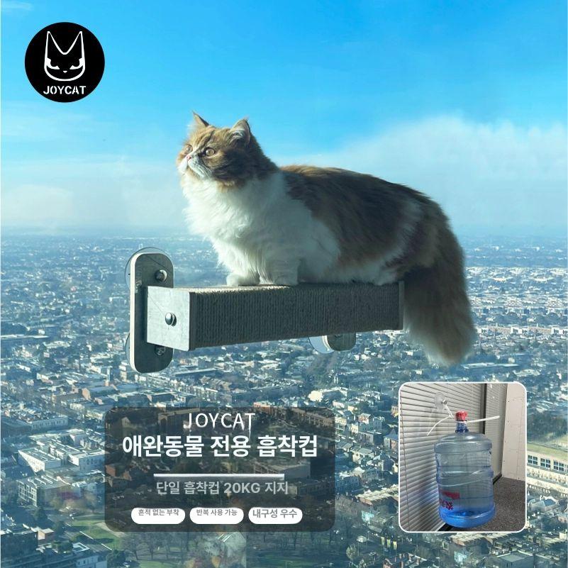창문 캣타워 부착형 선반 베란다 반려묘 캣워크 흡착형 소형 점프대 - 상세 이미지 4