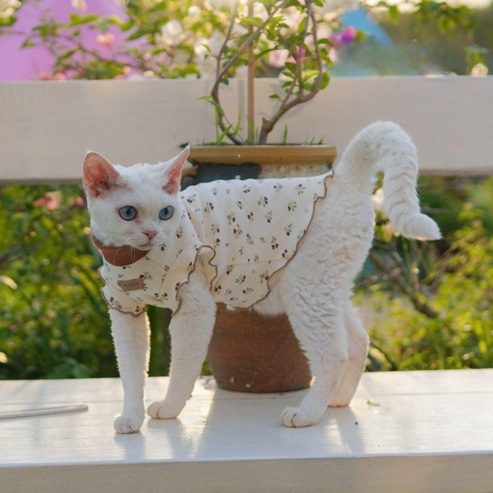 고양이 애완묘 옷 의상 사랑스러운 공주 원피스 - 상품 이미지