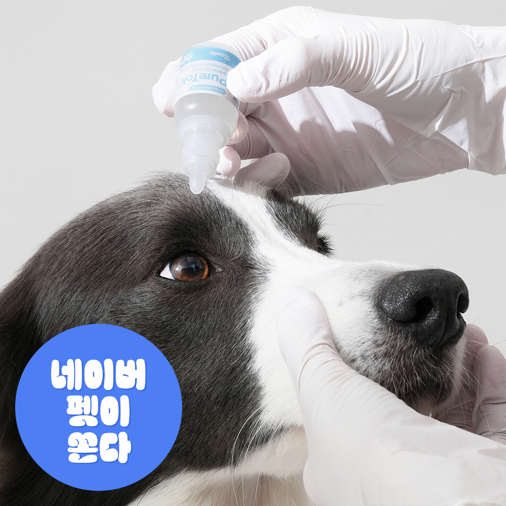 (2개구성)퓨어톡 강아지 고양이 애견 눈 염증 충혈 눈물자국 눈꼽 개선 안구 약 20ml