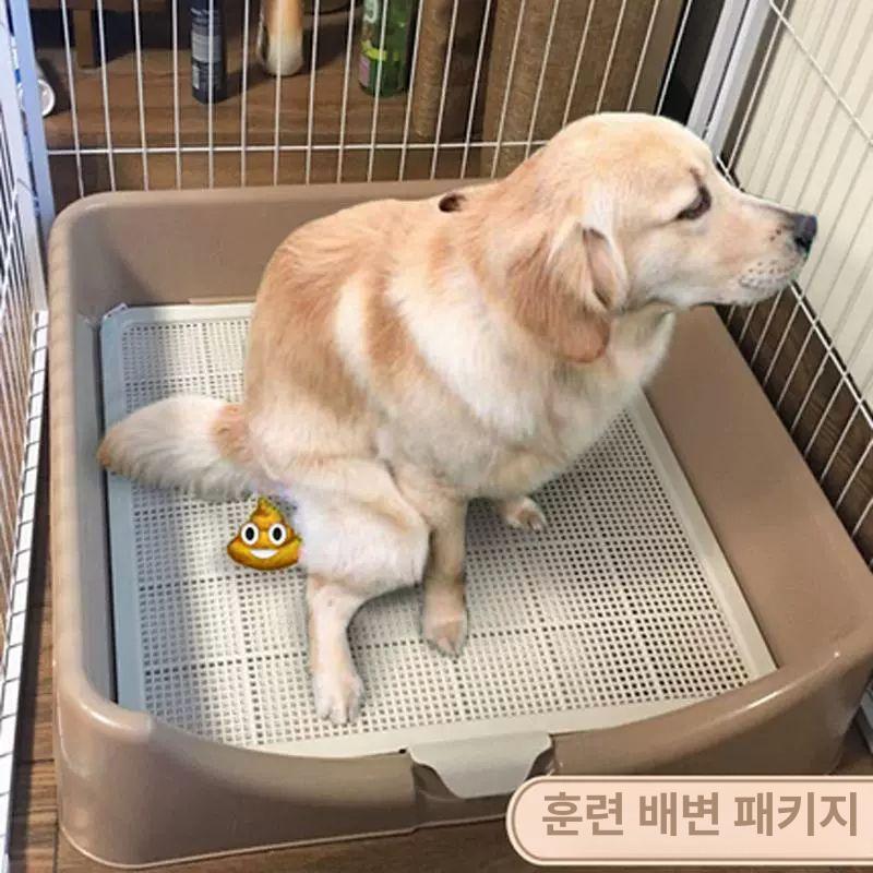 대형견배변판 특대형 강아지 하수구 소변 배변판 화장실 대형 오프화이트 6~15kg - 상세 이미지 2