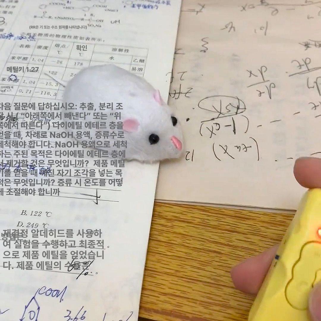 리모컨 조종 움직이는 놀리기 쥐 고양이장난감 고양이 리얼리스틱 미니 화이트 치즈 리모컨 표준 36개 - 상세 이미지 2