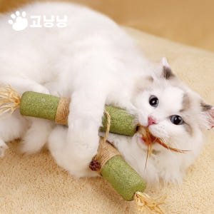 고냥냥 고양이 대왕 캣닢 스틱 마따따비 이갈이 장난감 혼자 장남감 먹이퍼... 솔직 후기 | 실제 사용자 리뷰 총정리 - 상품 이미지 2