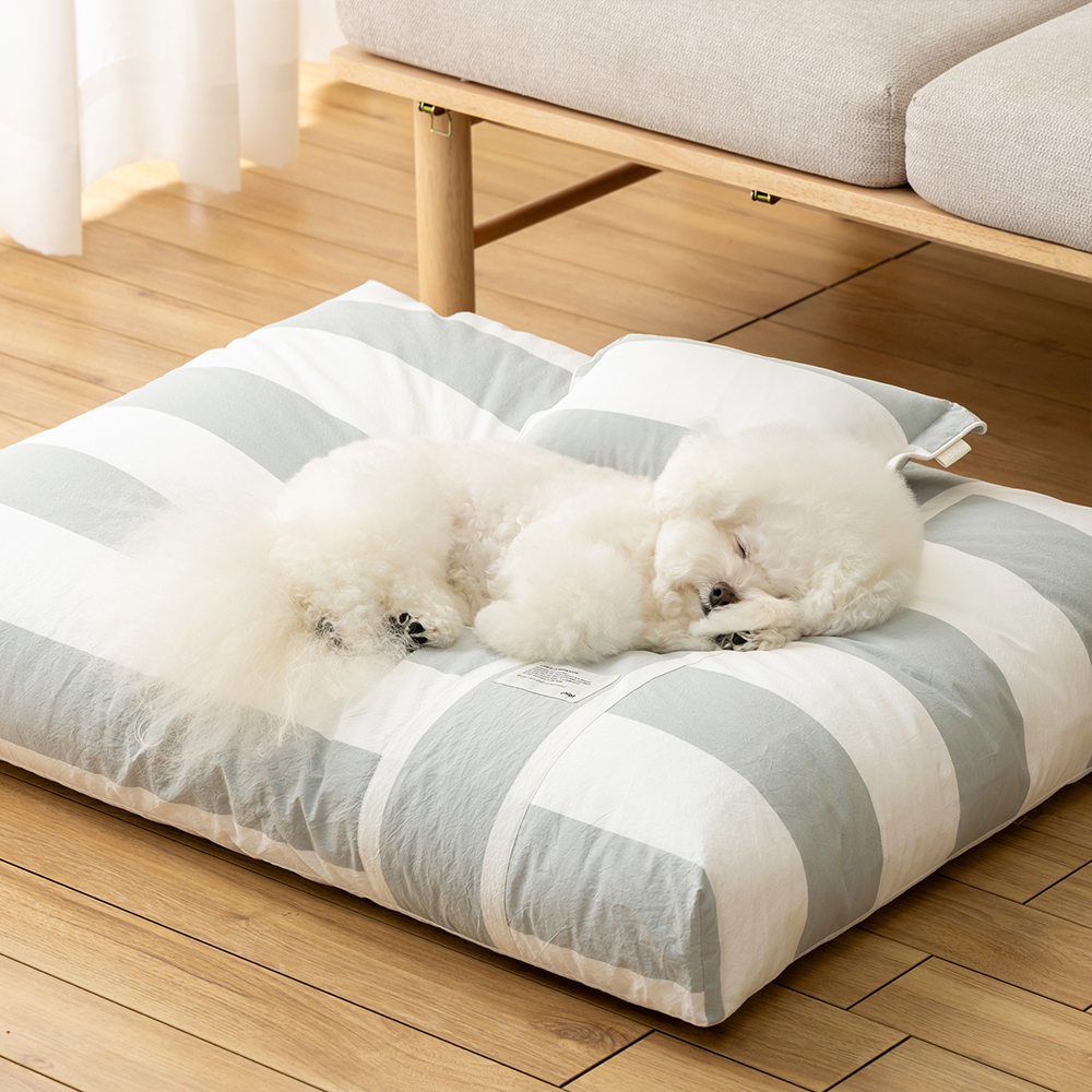 쉬오트 컴포트 카밍 베드 코지스트라이프 (3color) 강아지침대 강아지쿠션