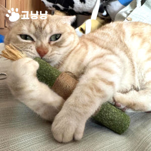 고냥냥 고양이 대왕 캣닢 스틱 마따따비 이갈이 장난감 혼자 장남감 먹이퍼... 솔직 후기 | 실제 사용자 리뷰 총정리 - 상품 이미지 3
