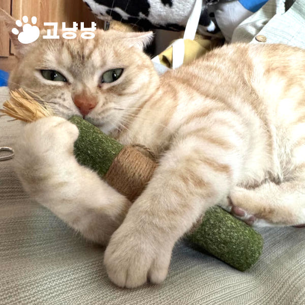 고냥냥 고양이 대왕 캣닢 스틱