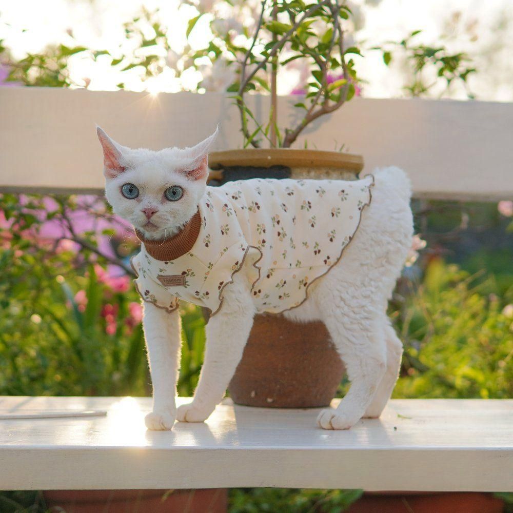 고양이 애완묘 옷 의상 사랑스러운 공주 원피스 - 상세 이미지 4
