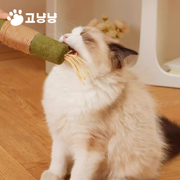 고냥냥 고양이 대왕 캣닢 스틱 마따따비 이갈이 장난감 혼자 장남감 먹이퍼즐1개 이미지 4