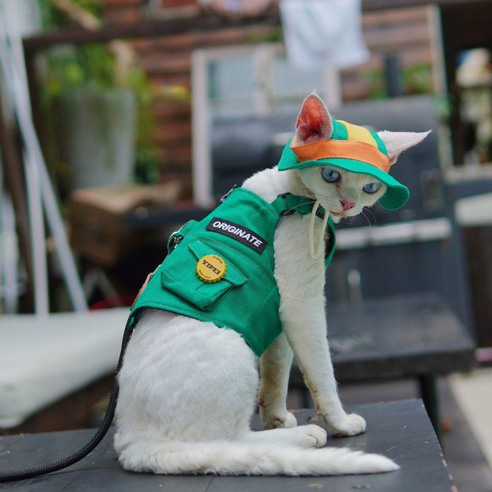고양이 산책조끼 하네스 목줄 산책줄 산책옷 - 상세 이미지 4