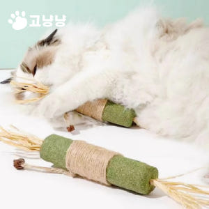 고냥냥 고양이 대왕 캣닢 스틱 마따따비 이갈이 장난감 혼자 장남감 먹이퍼... 솔직 후기 | 실제 사용자 리뷰 총정리 - 상품 이미지 1