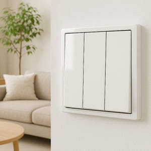 클릭 스위치 화이트 2구 CLICK 일렉트릭 유럽형 정사각 조명 전등 전... 실사용 후기 | 효과 있을까? - 상품 이미지 2