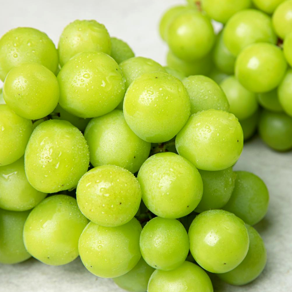 수출용 에어캡포장 고당도 샤인머스켓 최상급 2kg