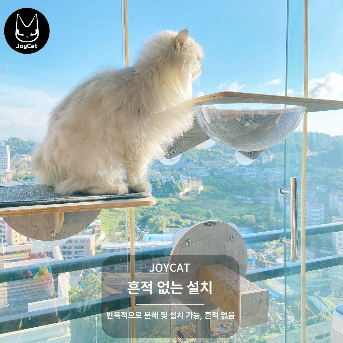 창문 캣타워 부착형 선반 베란다 반려묘 캣워크 흡착형 소형 점프대 - 상세 이미지 3