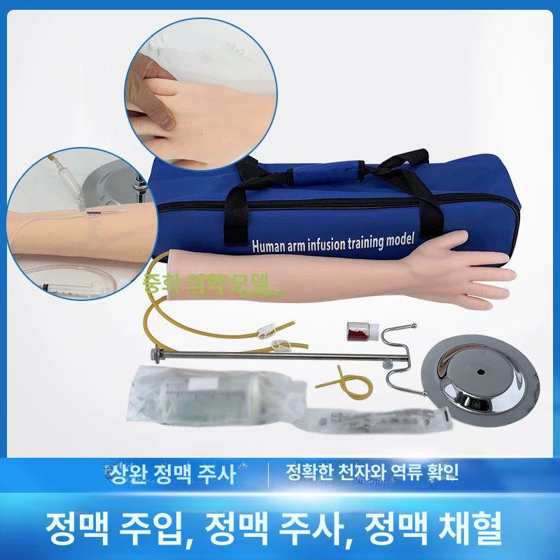 정맥 주사실습 모형 연습 팔뚝 훈련용 간호 키트 채혈 - 상세 이미지 2