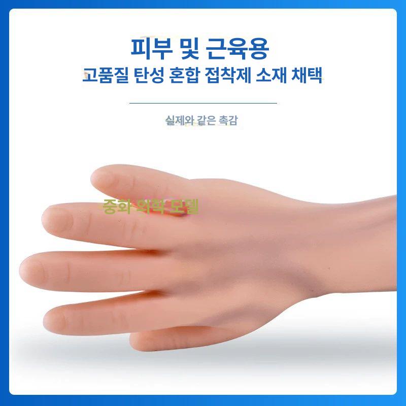 정맥 주사실습 모형 연습 팔뚝 훈련용 간호 키트 채혈 - 상세 이미지 3