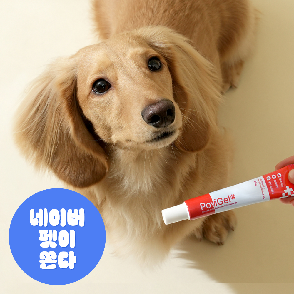 포비겔 강아지 고양이 곰팡이균 염증 피부염 약 연고 생식기 피부병 표피염 20g, 1개