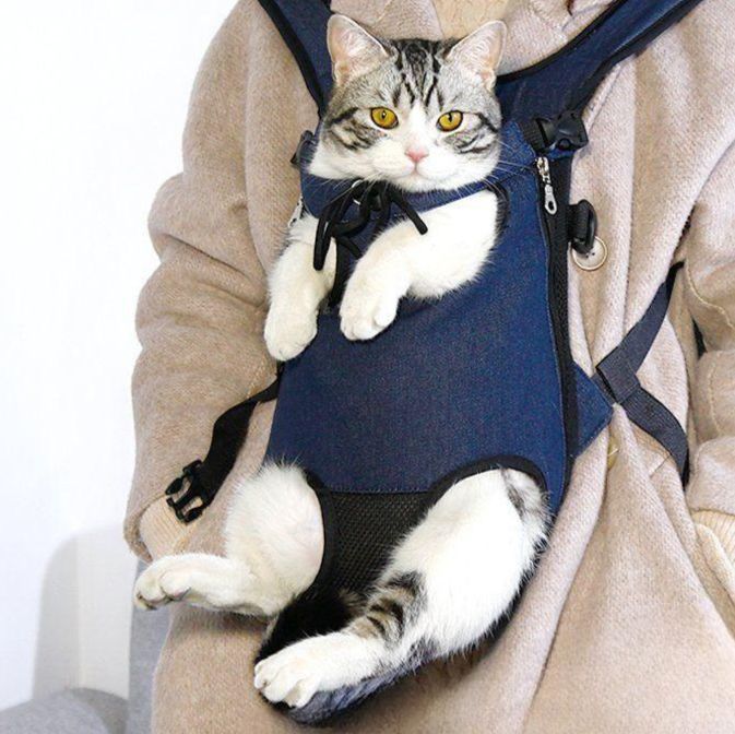 고양이 배낭 가슴 외출 휴대용 앞 가방 캬리 애완 동물 백팩 - 메인 이미지