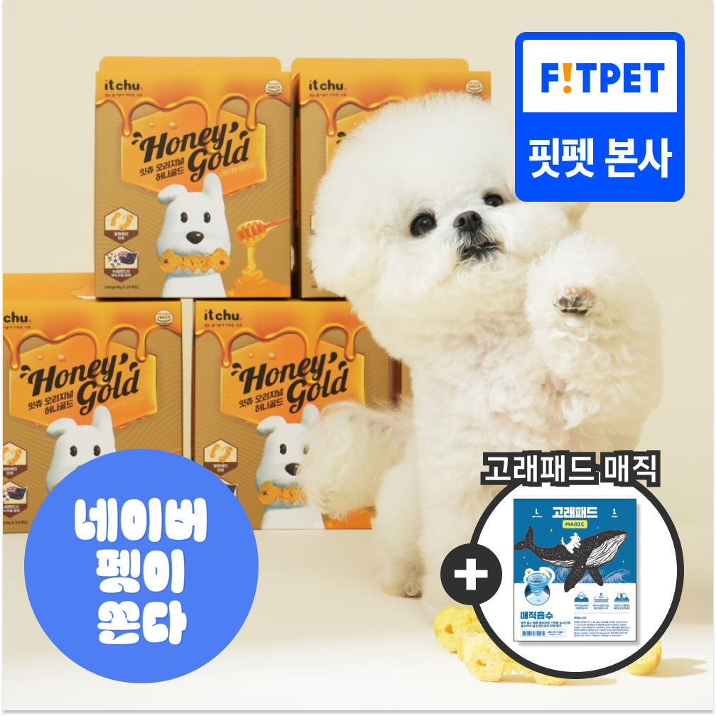 강아지 양치껌 허니골드 34P 덴탈껌 치석제거 소프트 잇츄 핏펫