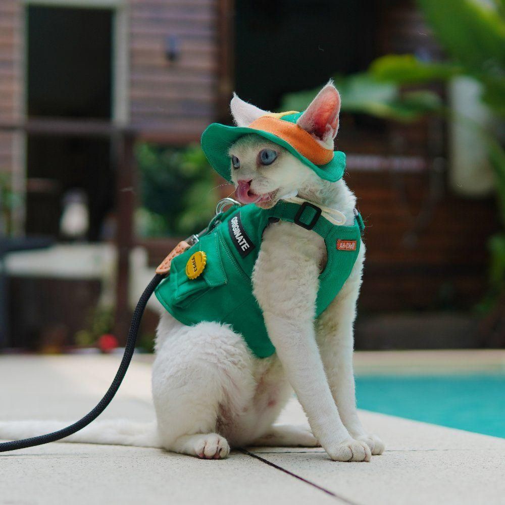 고양이 산책조끼 하네스 목줄 산책줄 산책옷 - 메인 이미지