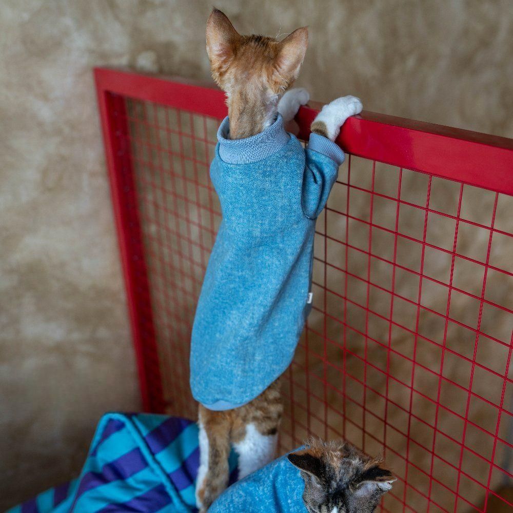고양이 스트레치 데님 스웨트 스웨터 T셔츠 보온옷 겨울옷 티셔츠 - 상세 이미지 5