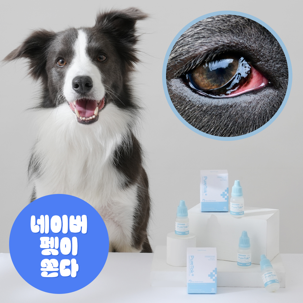 퓨어톡 강아지 고양이 인공 눈물 눈세정제 눈꼽 안구건조증 눈병 일회용 20ml, 1개
