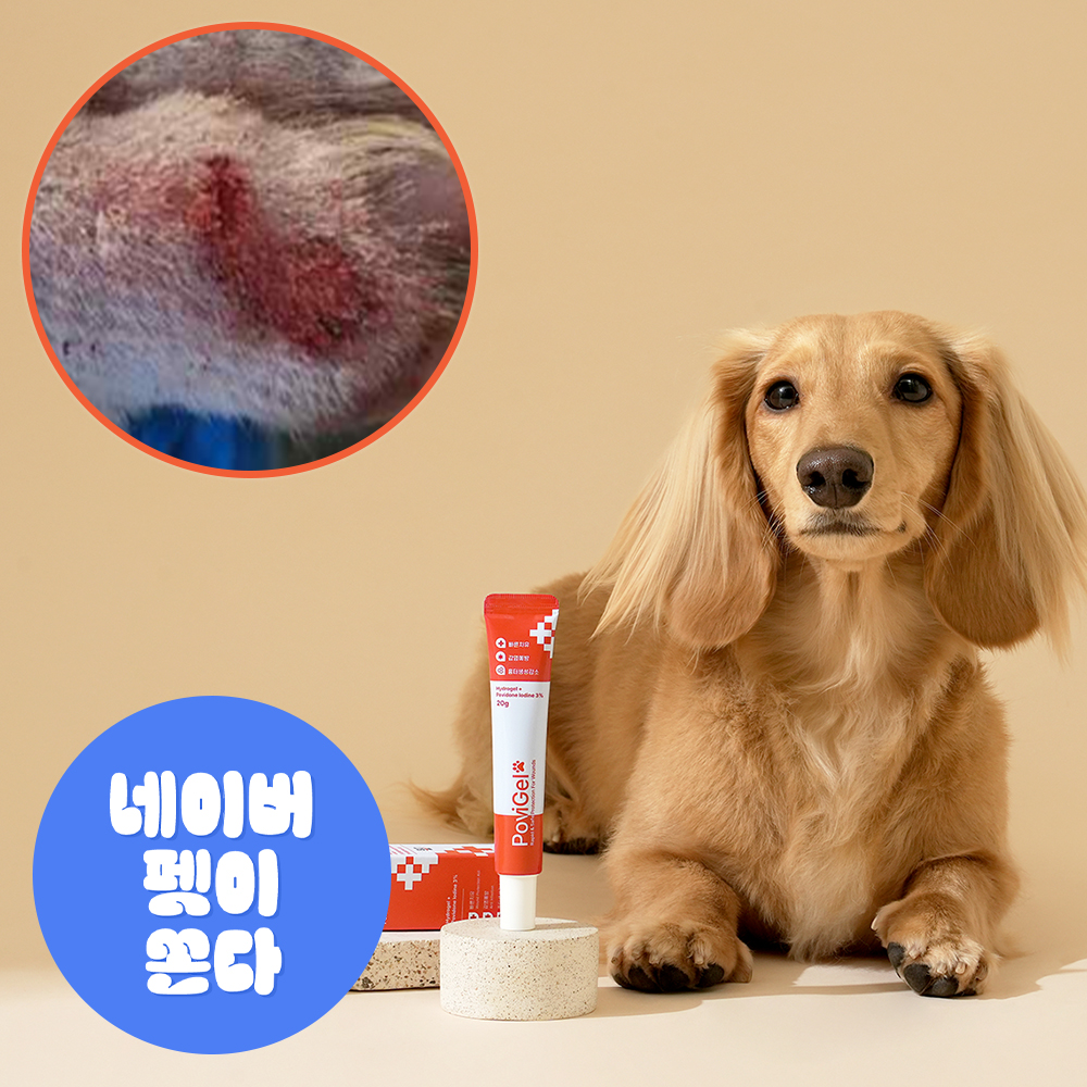 포비겔 강아지 고양이 곰팡이성 피부염 피부병 약 아토피 상처 연고 농피증 링웜 발습진 약