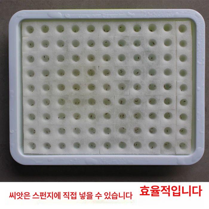 수경 재배 스펀지 새싹 오아시스 심기 모종 발아용 원예 100구 스펀지 이상 1장 10장 - 상세 이미지 4