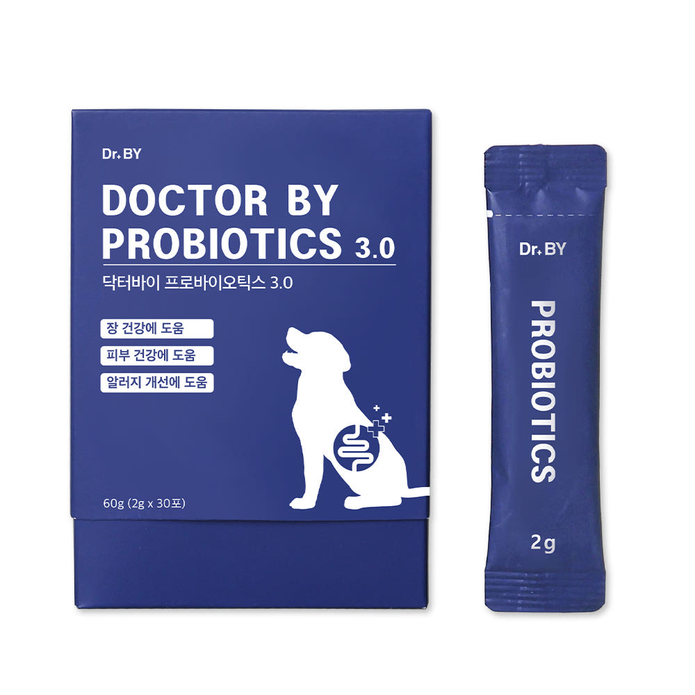 닥터바이 패키지