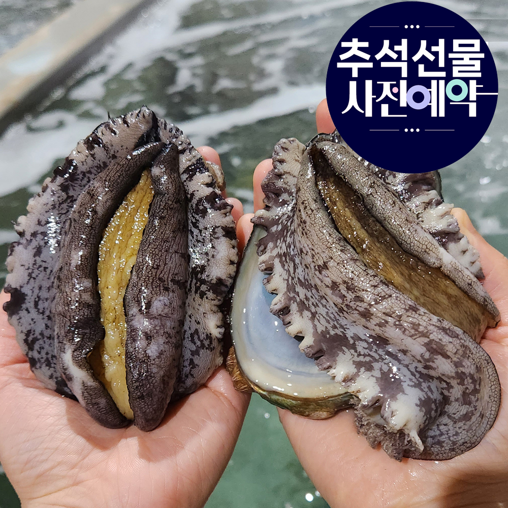 [완도맘]완도 활전복 1kg+세척솔 전복 특대전복 대통령전복 사이즈별