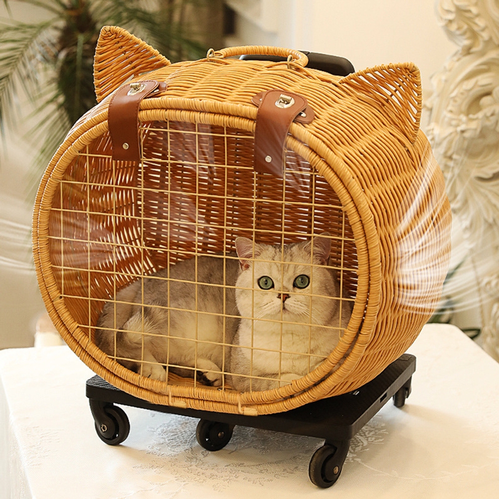 펫캐리어 고양이 강아지 이동장 라탄 다목적 트롤리 케이스 - 상세 이미지 3
