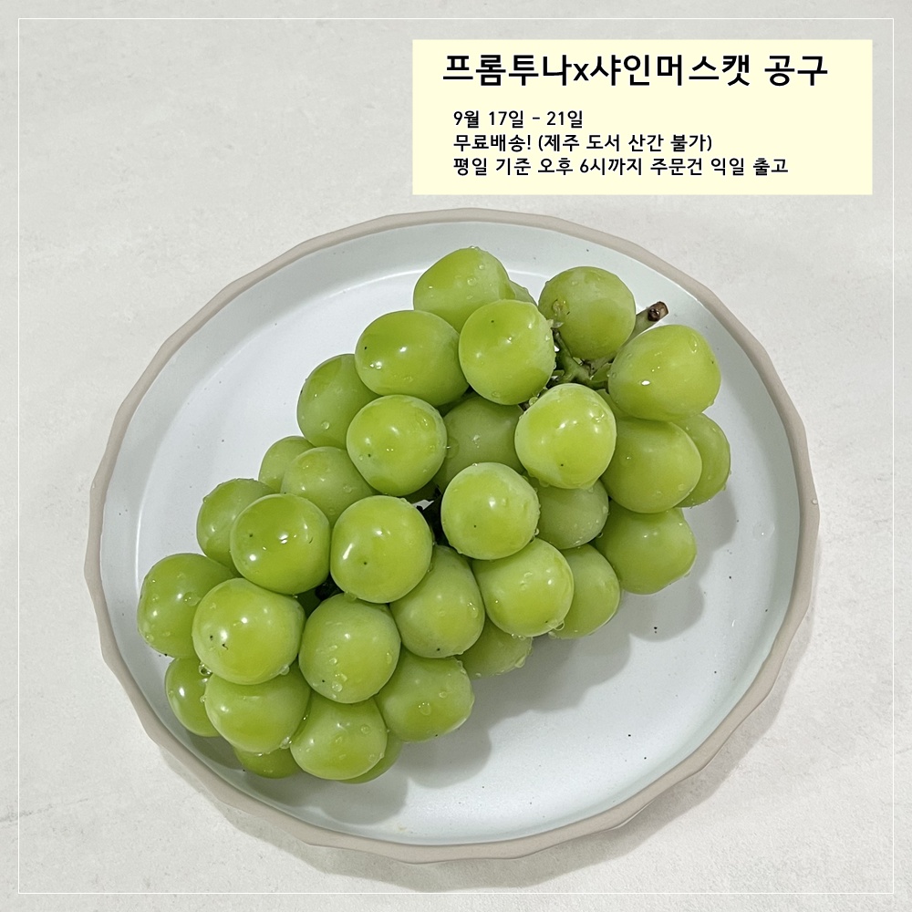 https://shop-phinf.pstatic.net/20250916_17/1758034196776yFh5w_JPEG/92167006866308380_1672356952.jpg