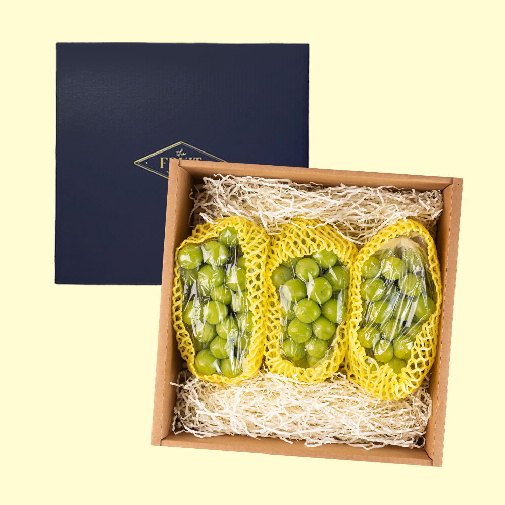 프리미엄 샤인머스켓 망고 포도 제철 과일 추석 명절 선물 세트