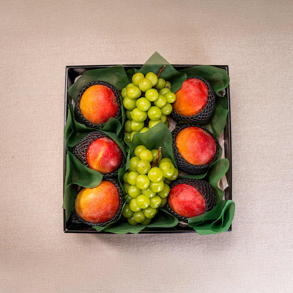 [추석 과일 선물세트] 청담온 프리미엄 애플망고 샤인머스켓 8과 선물세트 [보자기 포장서비스 포함]