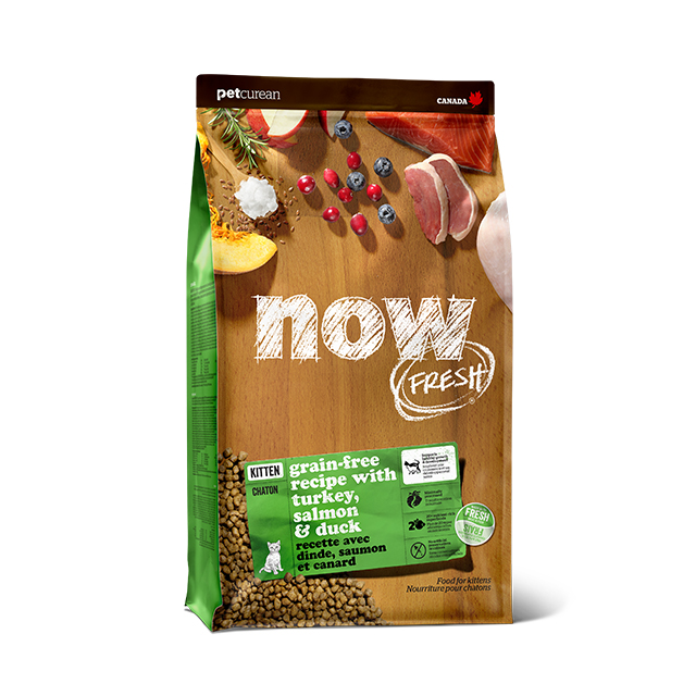 나우 프레쉬 캣 고양이 샘플사료 키튼, 50g, 1개 - 메인 이미지