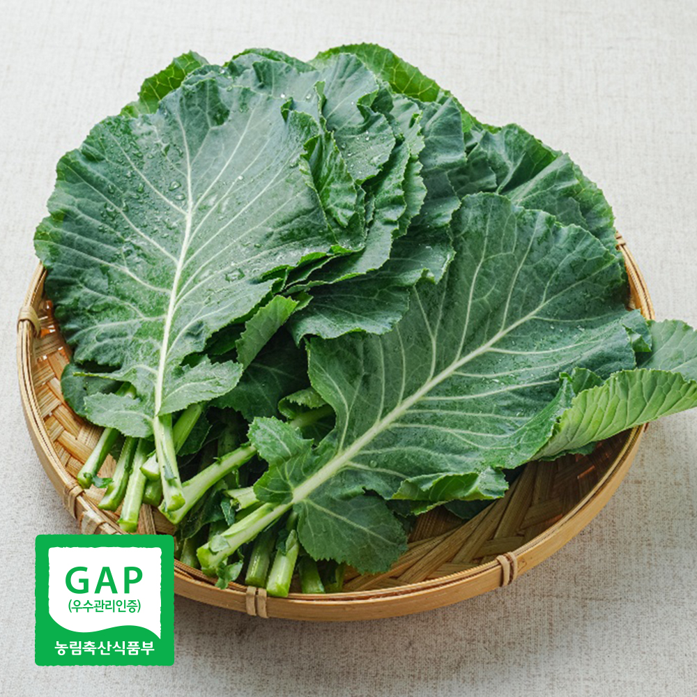 국내산 케일 쌈용 채소 GAP 캐일 1kg - 상세 이미지 2