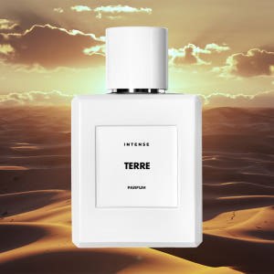 떼르 50ml 퍼퓸 인텐스 니치향수 138 TERRE (떼르 데르메스) 솔직 후기 | 피부 타입별 분석 - 상품 이미지 1