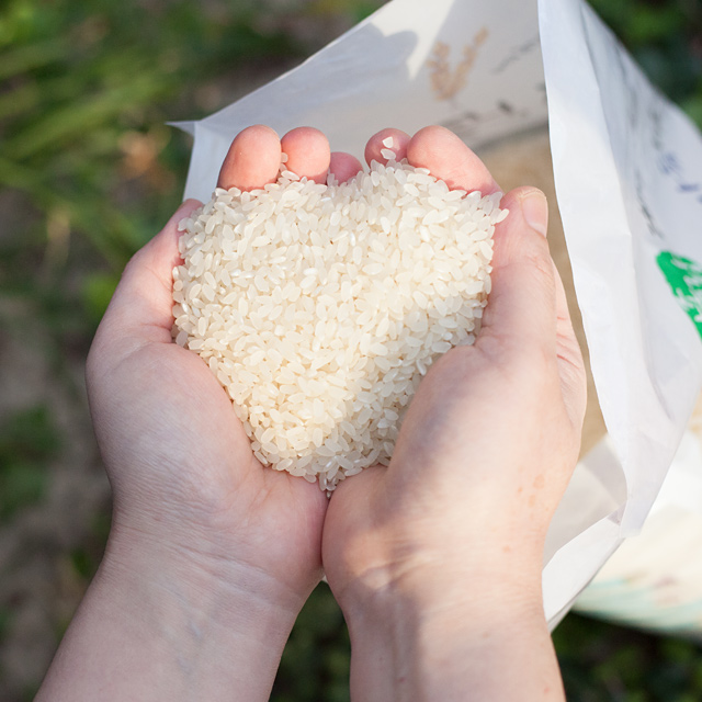 햅쌀 10kg 부안 주문후 당일도정 현미쌀 밥맛좋은