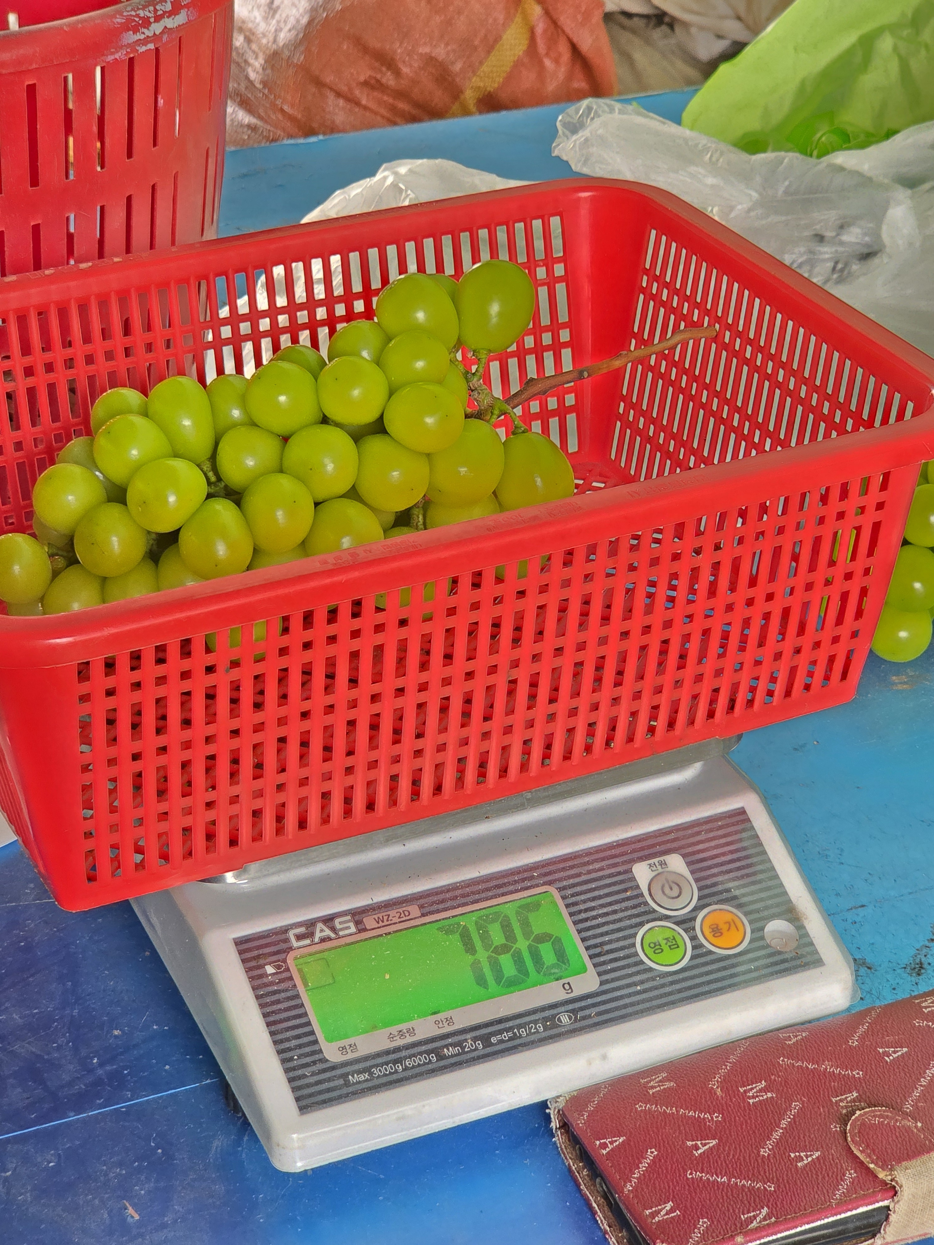 샤인머스캣 2kg 4kg 고당도 안동 망고포도 - 상세 이미지 5