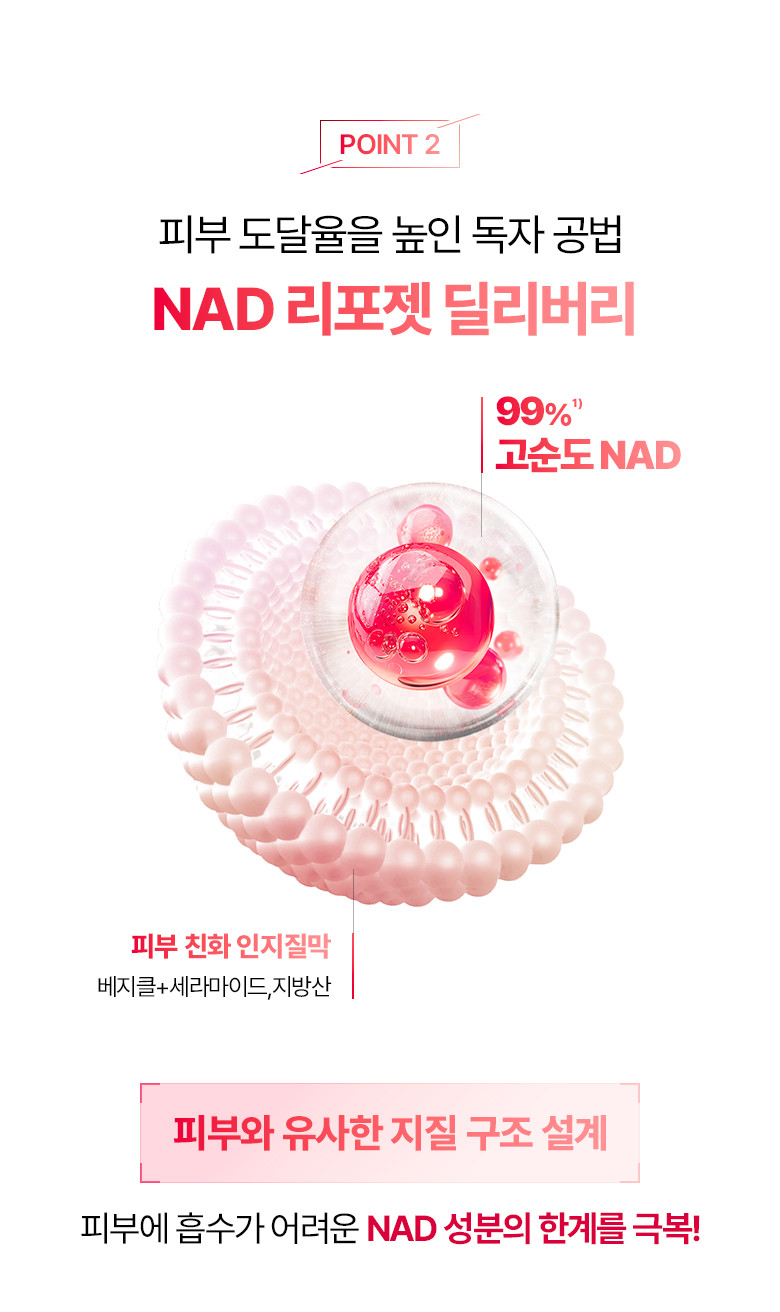 boh_detail_NAD-PRIZCELL_glow-power-serum_08.jpg (780×1312)