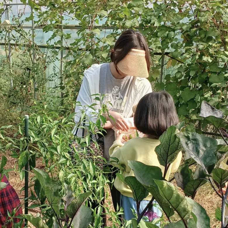 어린이 동물 농장 숲 농촌 요리 체험 서울 경기 유아 어린이 가족체험학습 by 게으른농부 - 상세 이미지 2