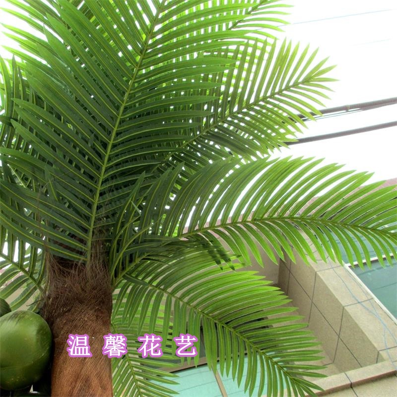 카페야자수나무 식물 플랜테리어 모형펜션 열대 팬팜 조경 휴양지 대형 - 상세 이미지 4
