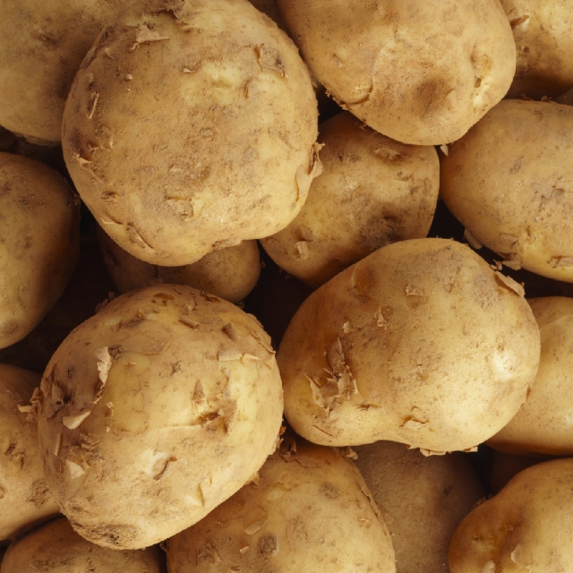 강원도 햇감자 5kg 수미감자 두백 알감자 3kg