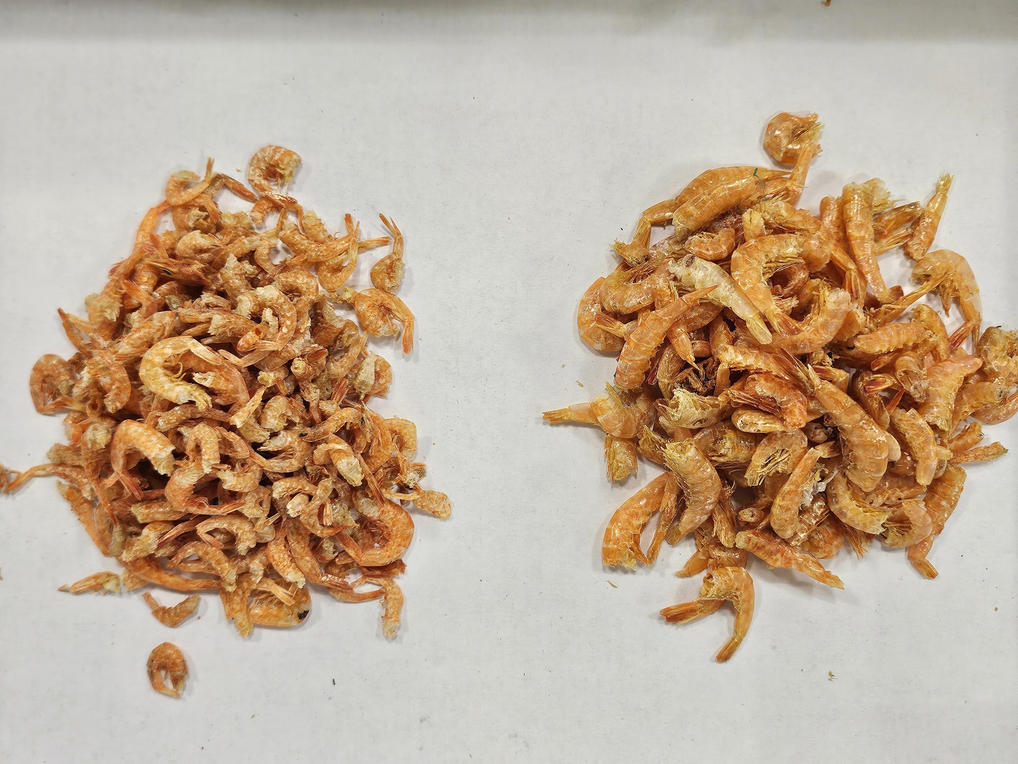 바다안 두절새우 중국산 500g/1kg 건새우 업소용 식당용 - 상세 이미지 3