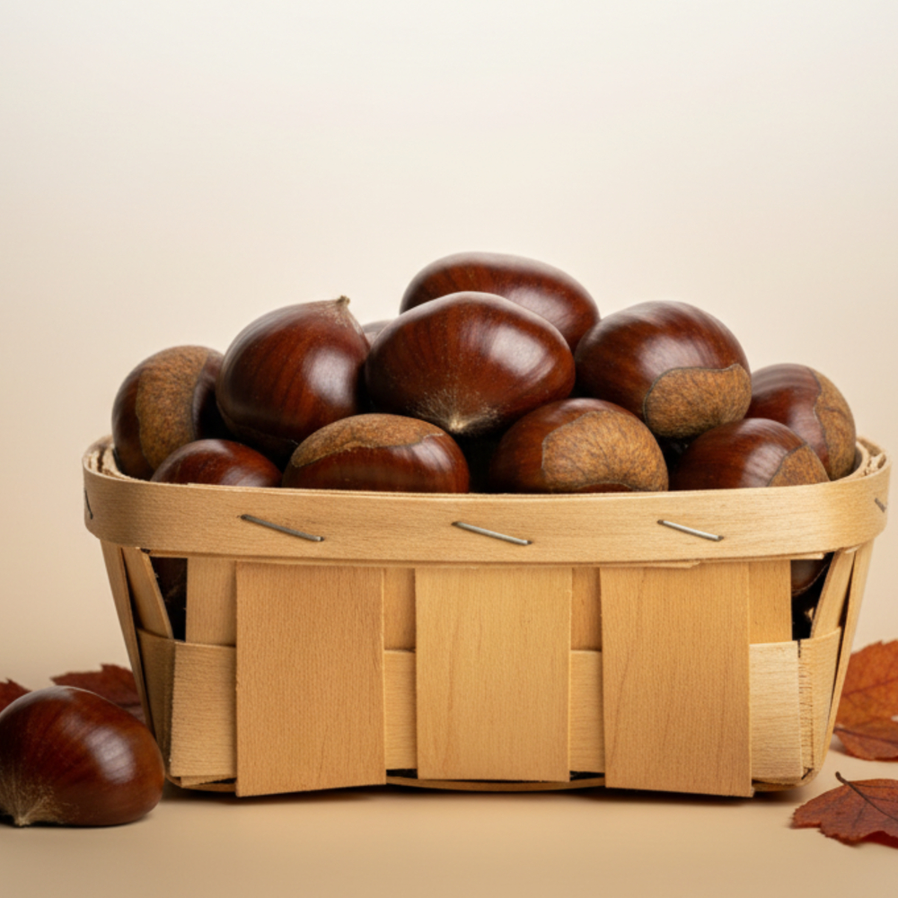 부여 알밤 수확 햇밤 대 2kg, 1개 - 상세 이미지 3