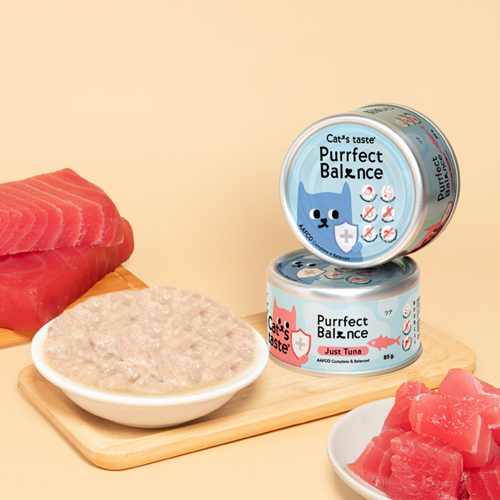 캣츠테이스트 퍼팩트 발란스 주식캔 참치, 85g, 1개 - 상세 이미지 2