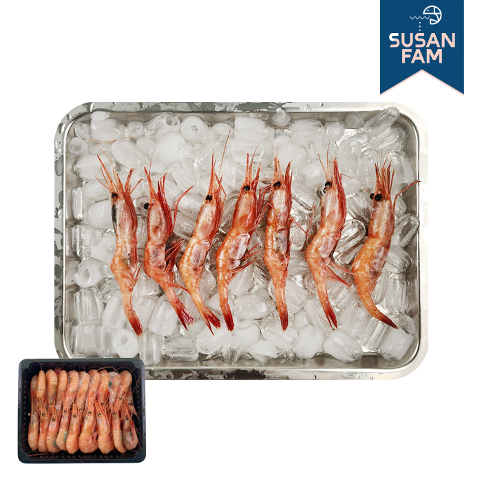 국내산 단새우 1kg 새우회 횟감용 홍새우 아마에비 홈마카세 - 상품 이미지