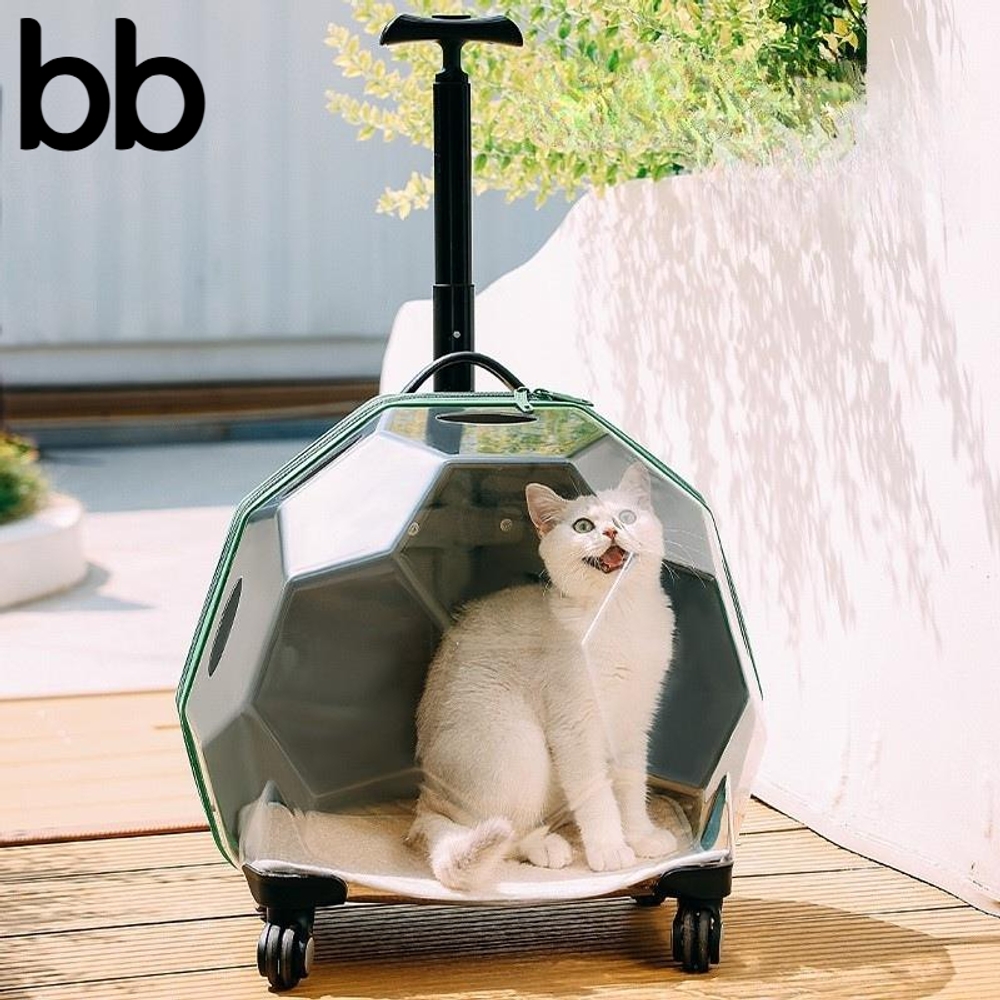 펫캐리어 고양이 강아지 이동장 라탄 투명 백팩 애견 확장형 트레블 케이지 켄넬 반려견 C - 상세 이미지 3