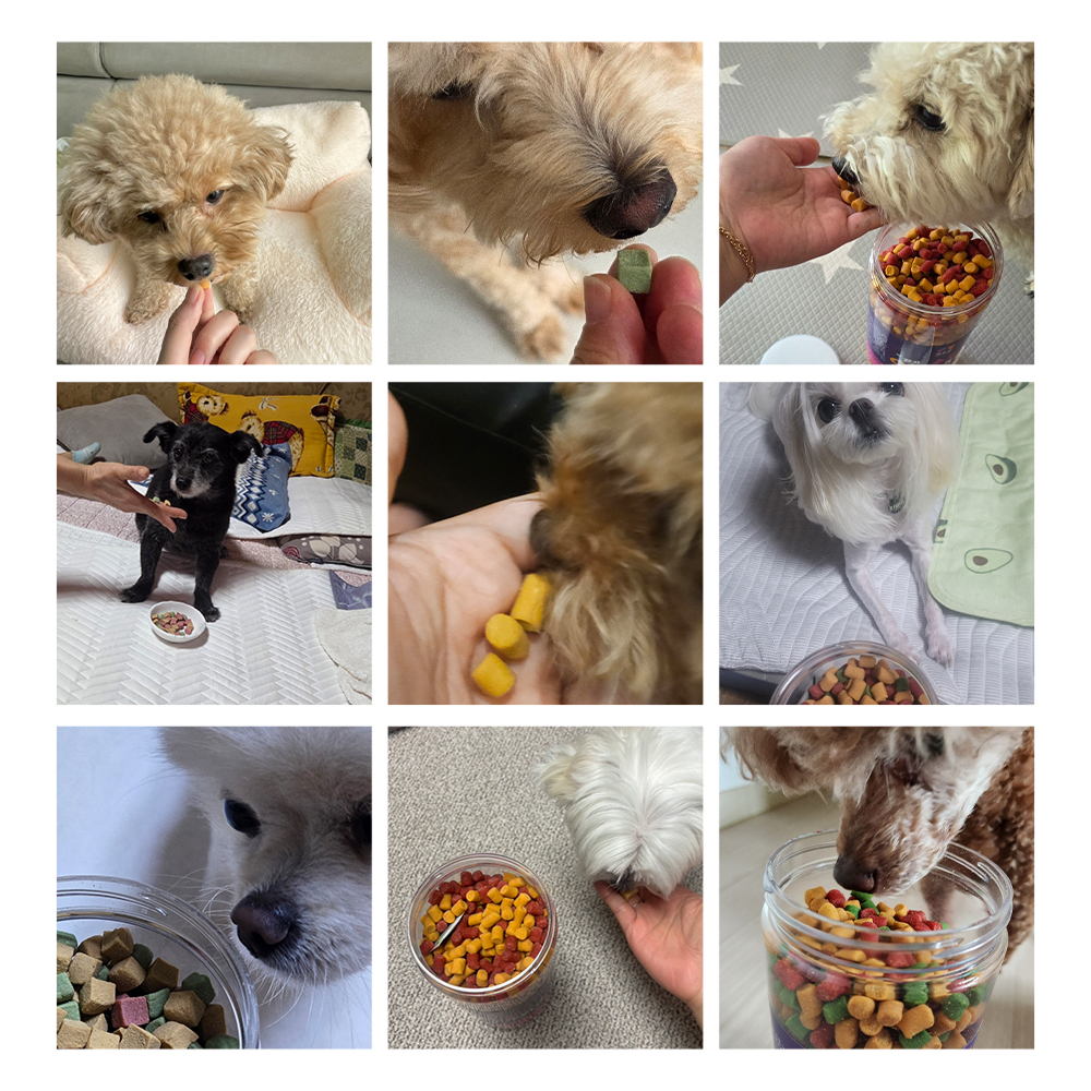 [여기서만] 목우촌 펫9단 황태 노즈워크 훈련용 촉촉 큐브 트릿 대용량 간식 1kg 이미지 4