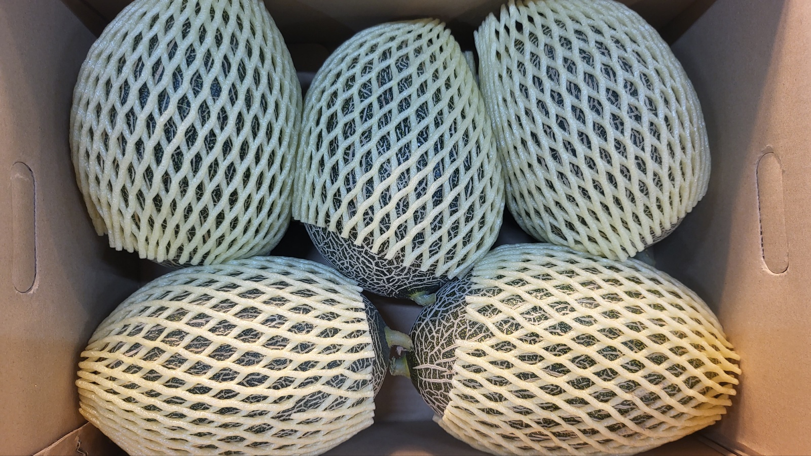 머스크 멜론 3kg, 1개 이미지 8