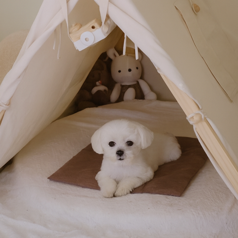현미온미 강아지 고양이 천연 곡물 찜질팩 반려동물 냉 보 온 핫팩 슬개골탈구 관절염 디스크 - 상세 이미지 5